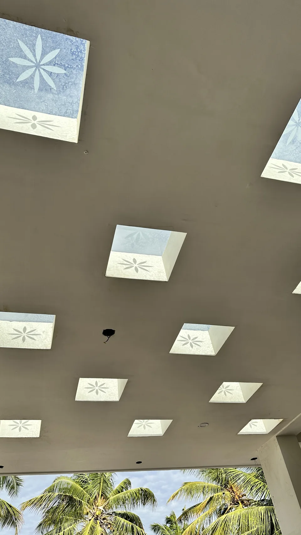 Ceiling with square patterned skylights and palm trees beyond